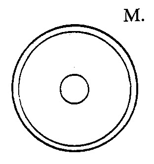 Type 7 brass nut without Bailey name